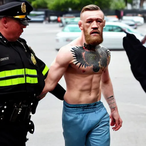 Image similar to conor mcgregor being arrested