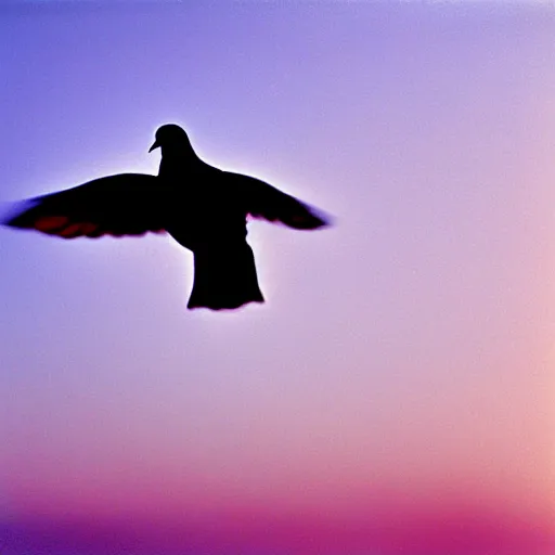 Image similar to Realistic POV shot of a dove flying over the clouds at sunset, ethereal, vintage photograph, film grain, surreal, awe-inspiring