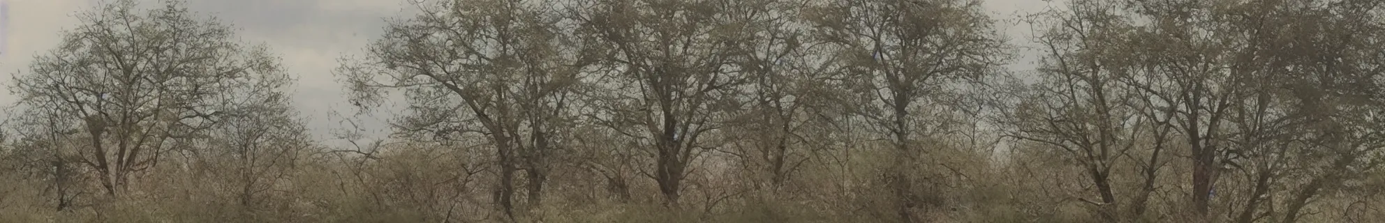 Image similar to a frames from a video