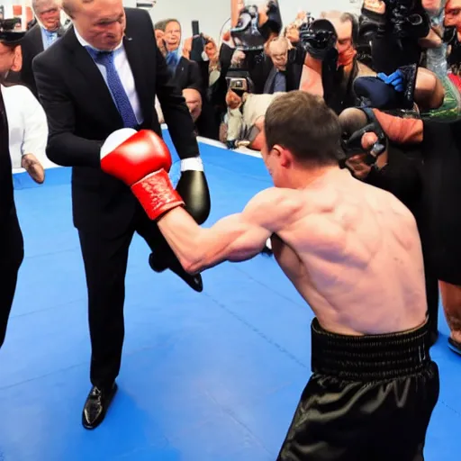 Image similar to volodymyr zelensky beating putin in a boxing match