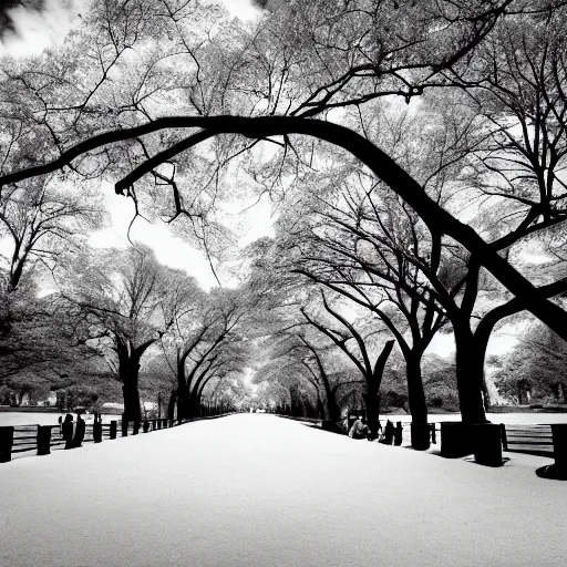 Prompt: black and white infrared photo of Central Park