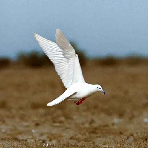 Image similar to photograph of a white dove flying through a warzone