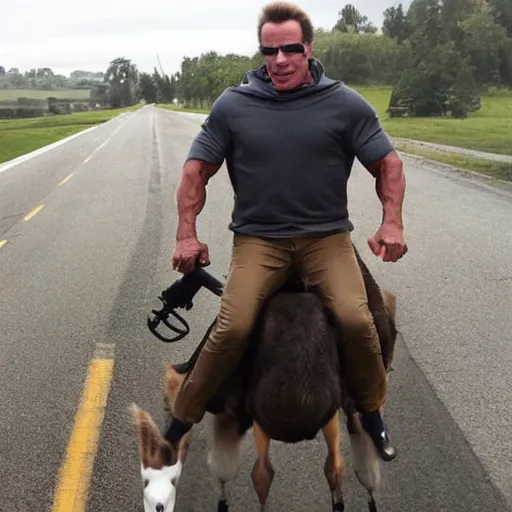 Image similar to schwarzenegger riding a goose