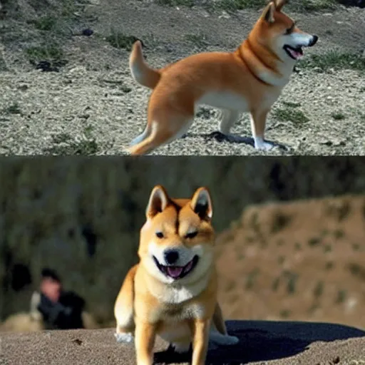 Image similar to shiba inu in saving private ryan