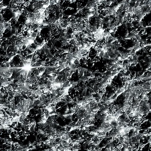 Image similar to shore, metallic water, raytracing, hubble in background, endless, 5 5 mm