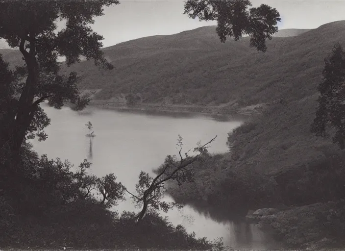 Image similar to Overlook of a river and chaparrals with sparse catci, albumen silver print by Timothy H. O'Sullivan.