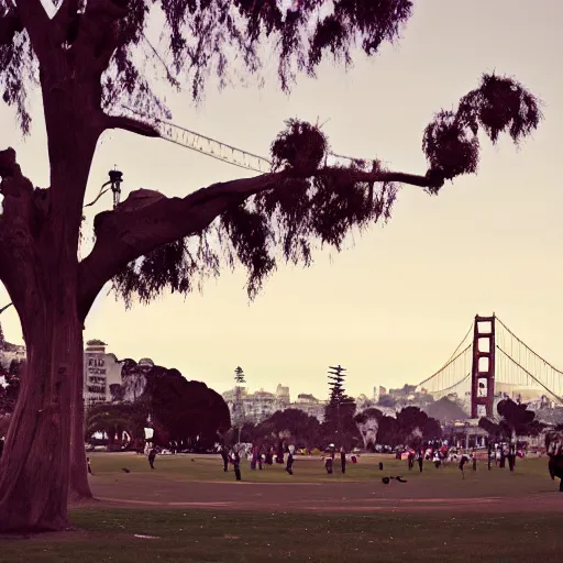 Image similar to dolores park in san francisco