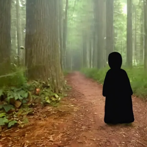 Prompt: bad quality screenshot of a leaked video of a small person dressed with a full body black robe following me through a forest trail, night time, bright camera flash, camera shaking, realistic, ultrarealistic, 4 8 0 p, scary