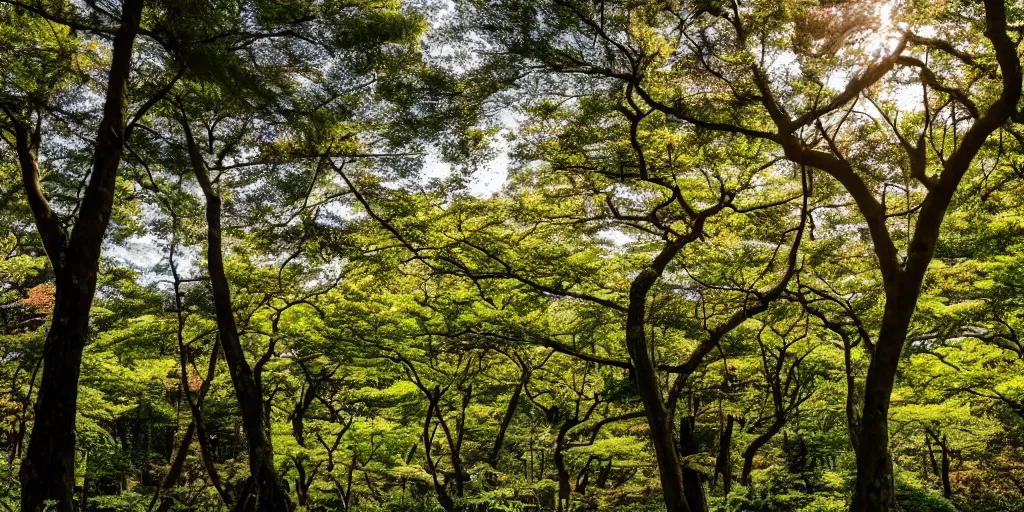 Image similar to a japanese forest on a sunny day