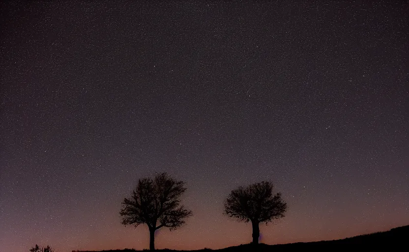 Image similar to night timelapse photography of many stars with a tree in foreground