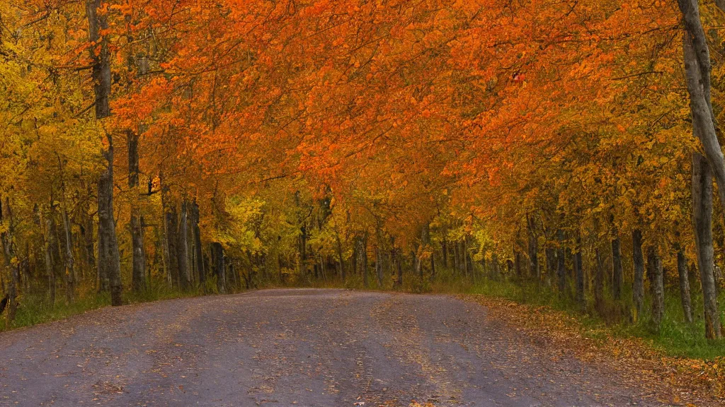 Image similar to a photograph of a country road lined on both sides by maple and poplar trees, in the autumn, red orange and yellow leaves, some leaves have fallen and are under the trees and on the road