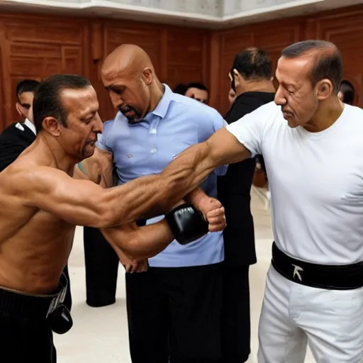 Prompt: The Rock and Recep Tayyip Erdogan fighting in a mosque