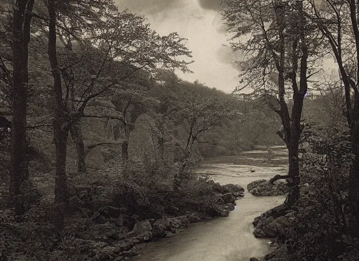 Prompt: Overlook of a river flowing through a tarot card forest, albumen silver print by Timothy H. O'Sullivan.