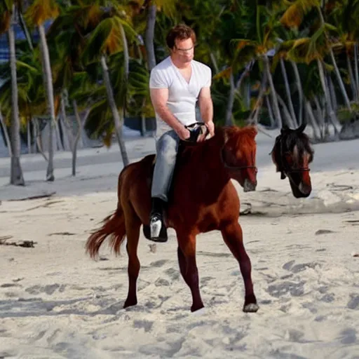 Image similar to michael c hall as dexter morgan riding a mini horse on the beach in miami