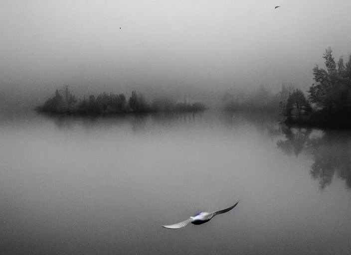 Prompt: lake by Andrei Tarkovsky, surreal thing flying, mist, mountains, lomography photo effect, monochrome, noise grain film