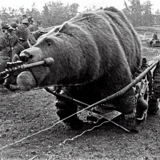 Image similar to a picture of a enormous bear pulling a towed artillery piece behind him like a horse, eastern front, historical picture