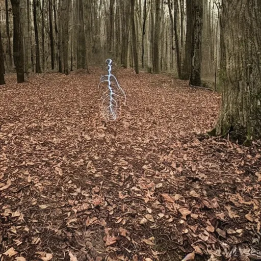 Image similar to Human nervous system spotted walking on its own in the woods, found footage, national reserve