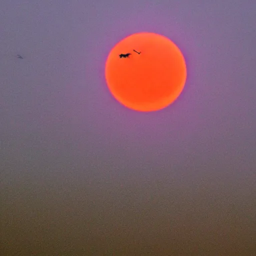 Image similar to red sun over the paradise when the wind is slow and the fire is hot the vulture waits to see what rots