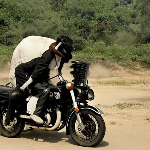 Image similar to picture of elephant riding a motorcycle, white and black, national geographic, award winning