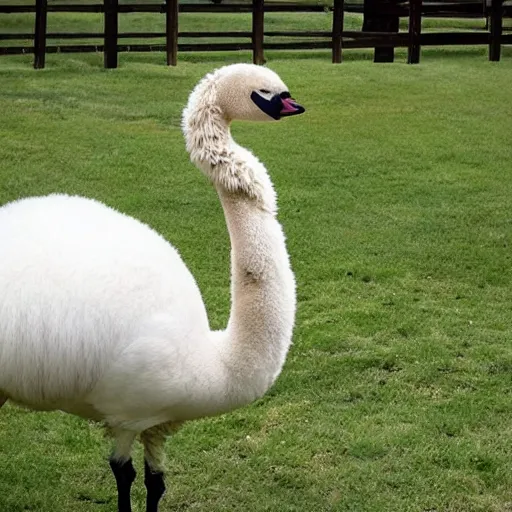 Image similar to photo of a hybrid between a swan and an alpaca