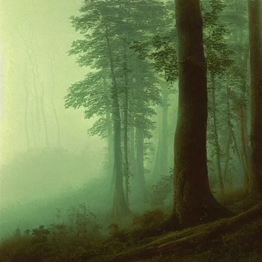 Image similar to foggy woods at golden hour, early in the morning, painting by Caspar David Friedrich
