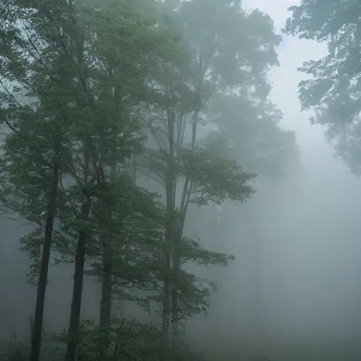 Prompt: a massive building that disappears into the fog with foliage growing up the sides at night with lights on illuminating the foliage