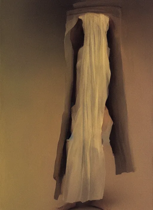 Image similar to woman in a translucent clothing made from plastic bag with paper bags for clothes standing inside paper bags with paper bag over the head at store display Edward Hopper and James Gilleard, Zdzislaw Beksinski, highly detailed