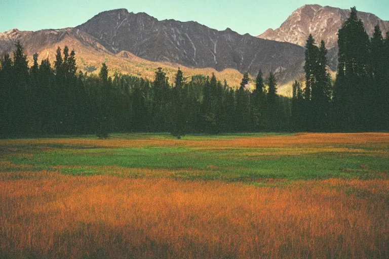 Image similar to film color photography, long view of green lawn with mirror that reflected red, no focus, mountains in distance, 35mm