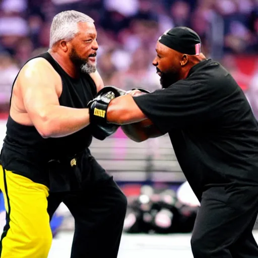 Prompt: Coach Belichick fighting coach Tomlin in a mixed martial arts championship match