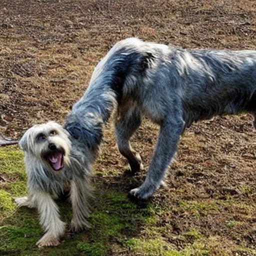 Image similar to Irish wolfhound vs Gamera