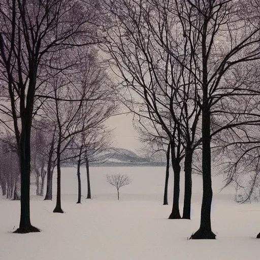 Image similar to mystic winter landscape by wes anderson