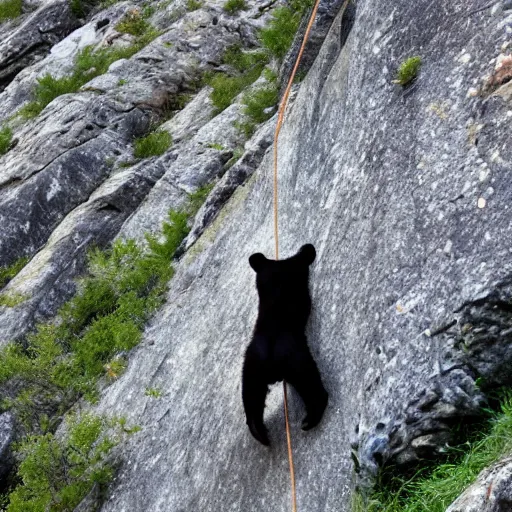 Image similar to photo of a bear rock climbing