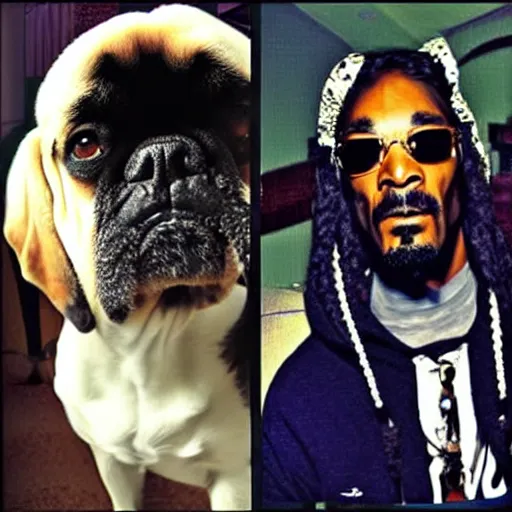 Prompt: a mix between Snoop Dogg and a dog