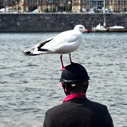 Image similar to A seagull on too of the the head of a man, the man is riding an electric scooter, he has a seagull on his head