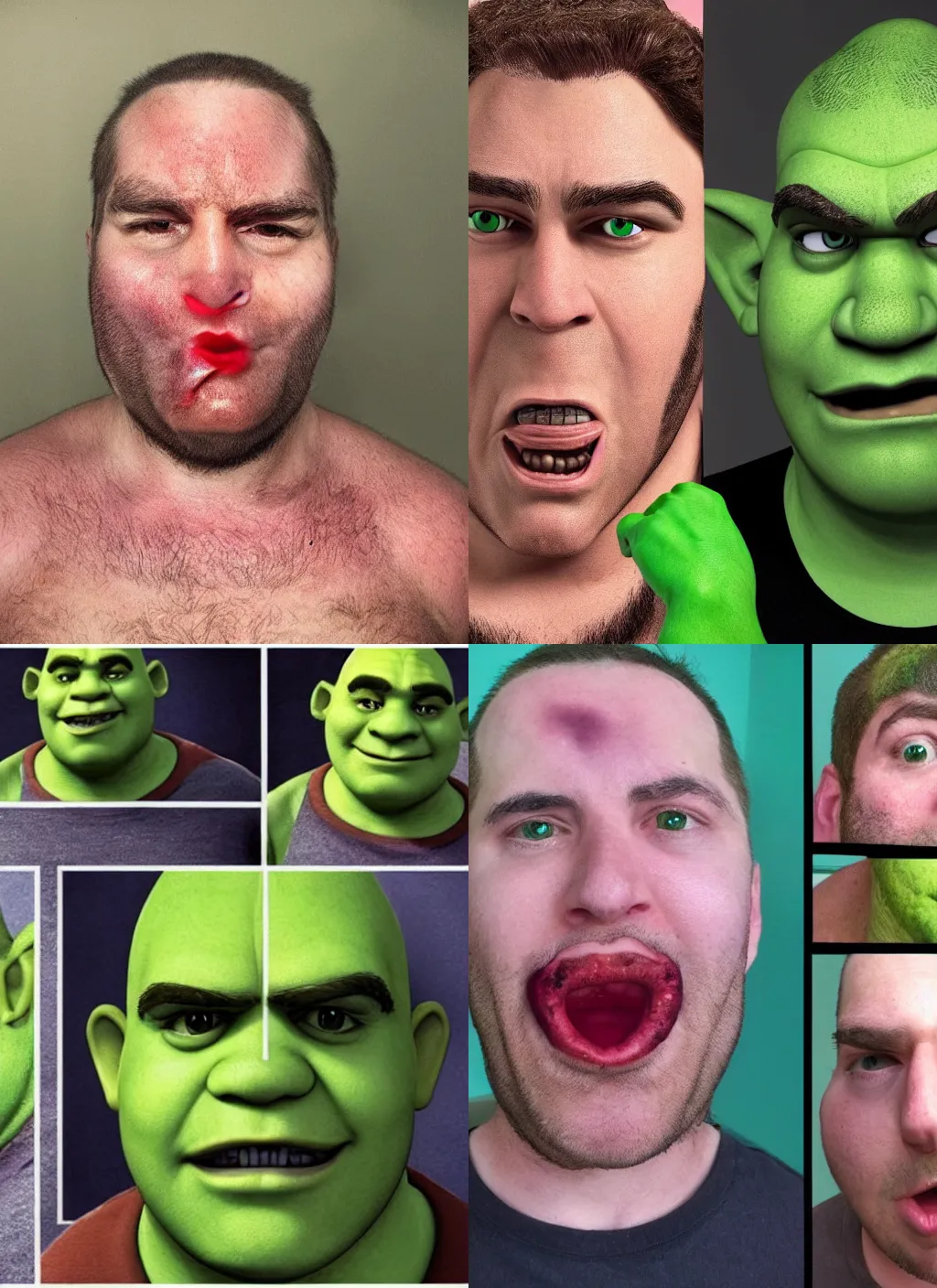 Shrek And Nicolas Cage Face Mugs