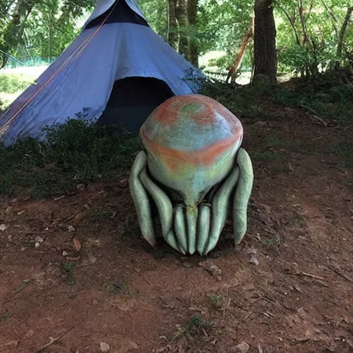 Prompt: Guys! Look at what I found at the campsite! I’m really confused it looks sort of alien creature. It is outside my friends tent and it’s giant. I’m kind of scared.