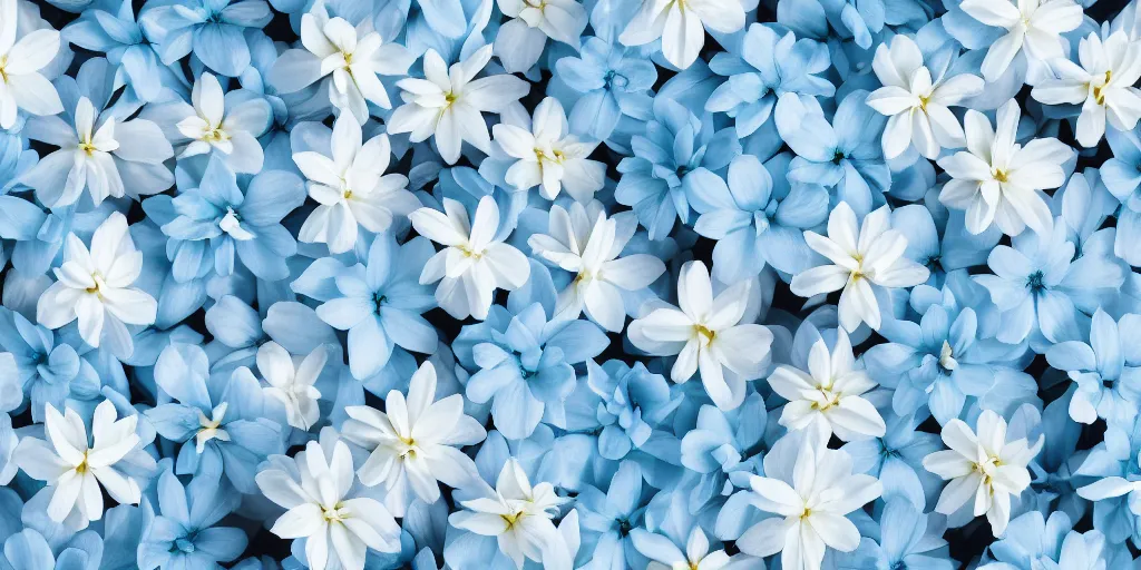 Image similar to minimalistic wallpaper of light blue flowers and white flowers, matte painting