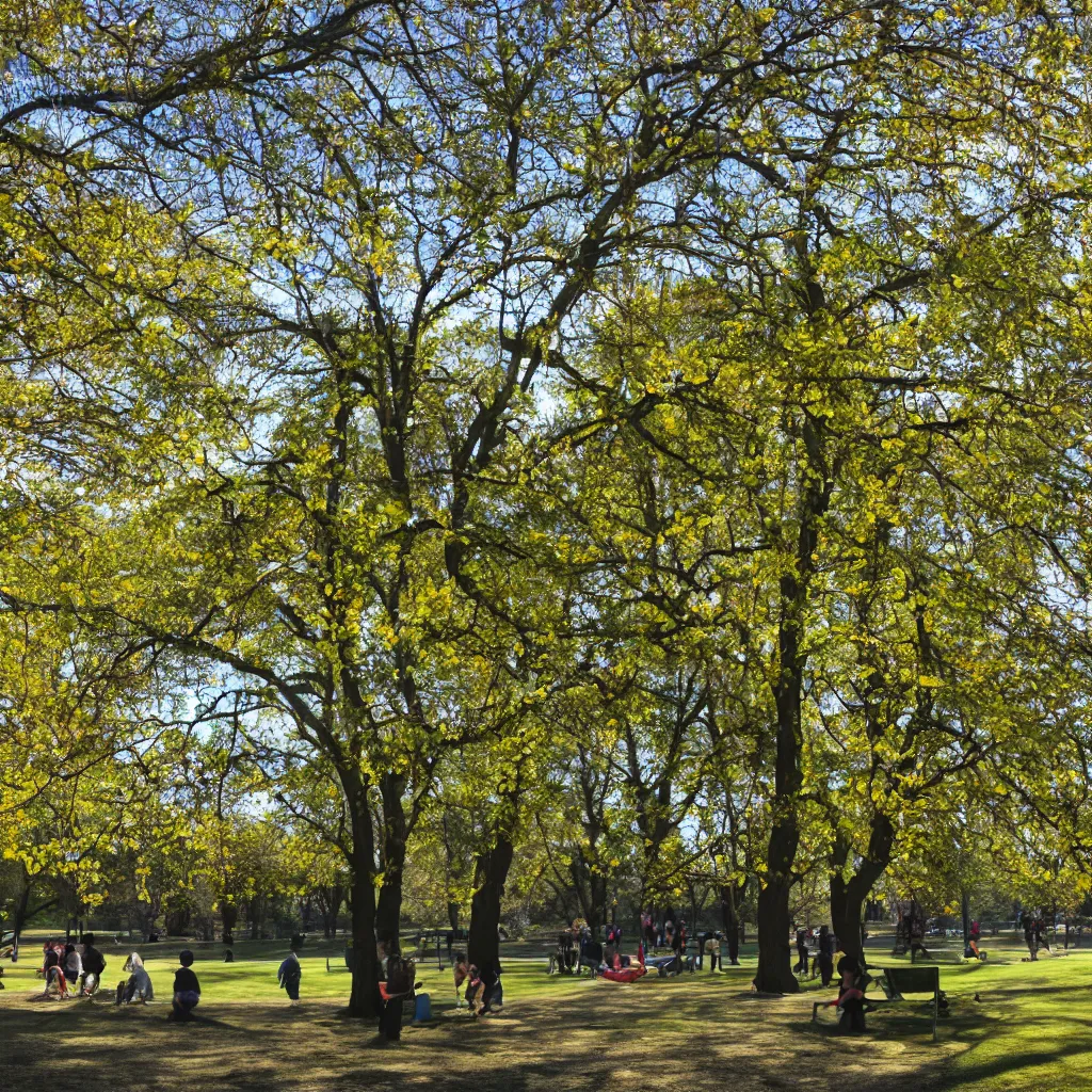 Prompt: a bright sunny weekend day at the park