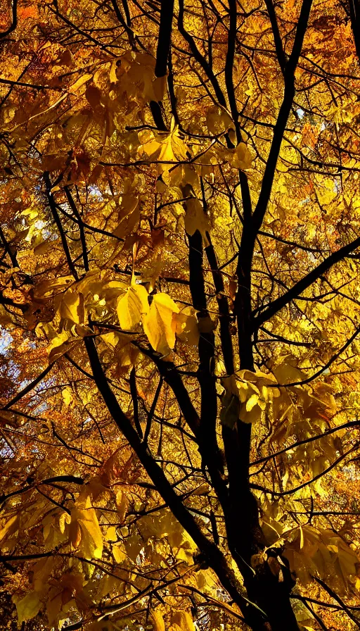 Image similar to beautiful autumn tree with yellow leaves, melancholy autumn light, blood pumping through veins, blood vessels stretching out intricately, biological beauty, sinister, scientific close-up of veins and blood, atmospheric HD photograph, depth of field