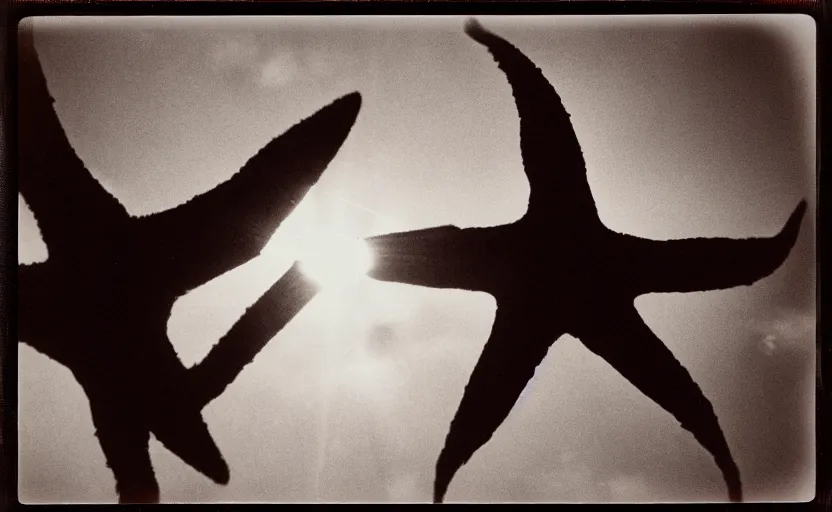 Prompt: analog polaroid of a giant monster with starfish arms, seen from afar, sun and shadow over a city, lens flare, film grain, azure tones, monochrome and red color bleed