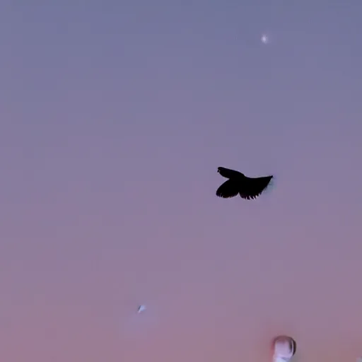 Image similar to a photo of a bird flying in front of a full moon