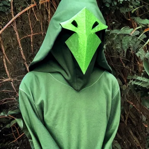 Image similar to night goblin wearing pointy hoods, fantasy, green skin