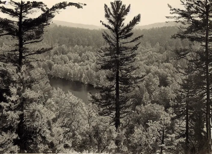 Prompt: Overlook of a river and dry bluffs covered in pine trees, albumen silver print by Timothy H. O'Sullivan.