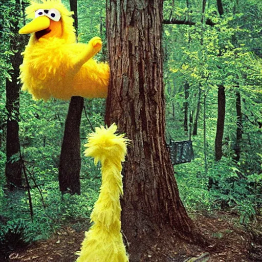 Prompt: big bird from Sesame Street camping in the woods, 1960s color photograph