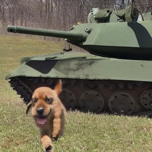 Image similar to a dog that is a tank