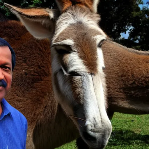 Prompt: portrait of arvind kejriwal with body of a donkey