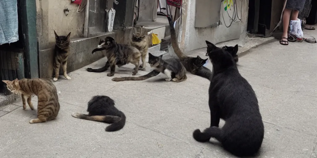 Image similar to photo evidence of a very serious joke being told by a single street cat to an opposing gang of street dogs