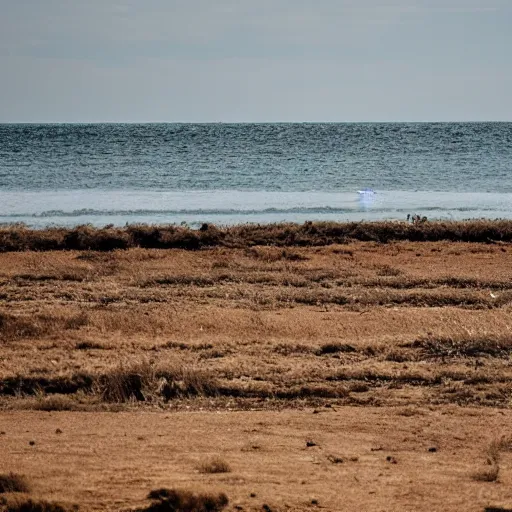 Prompt: a very boring landscape photography taken by a frenchman on holidays abroad, flickr, canon 9 0 d, 1 2 0 mm