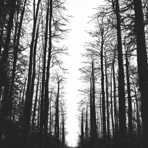 Image similar to endless forest of trees, highly detailed, ominous, vast