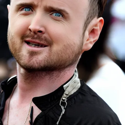 Prompt: Aaron Paul as an Elrond